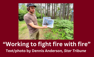 A photo of a man in field gear at the Cloquet Forestry Center holding photos of the area. Below the photo is the following text: " 'Working to fight fire with fire' Text/photo by Dennis Anderson, Star Tribune."