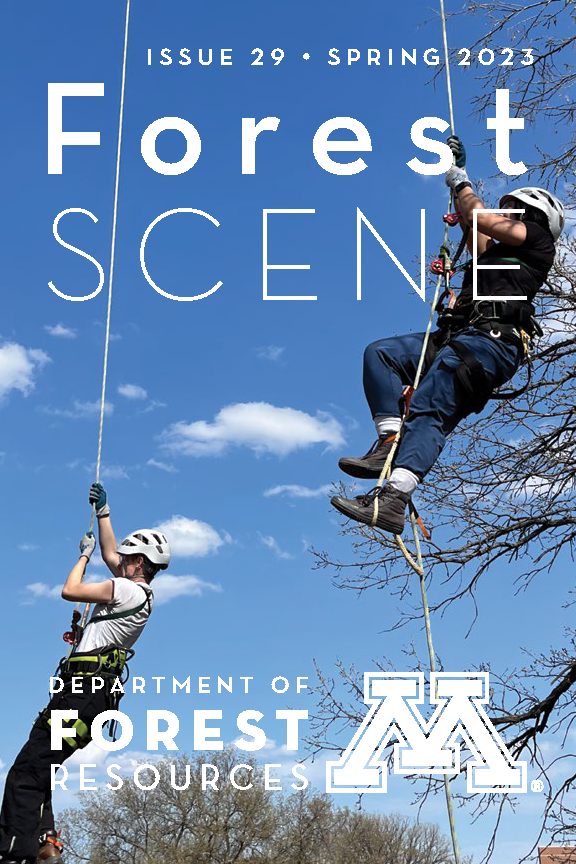 Two student members of the Tree Ascension Club tackle a roughly 60-foot climb up a cottonwood tree on the U of M Twin Cities campus in St. Paul. They are shown hanging in the air from ropes. Both are wearing helmets, harnesses, boots, pants, and T-shirts. The sky behind them is bright blue with few clouds and you can see tree canopies in the distant background. The following text, in bold white, overlays the image: "Forest Scene: Issue 29, Spring 2023. Department of Forest Resources."