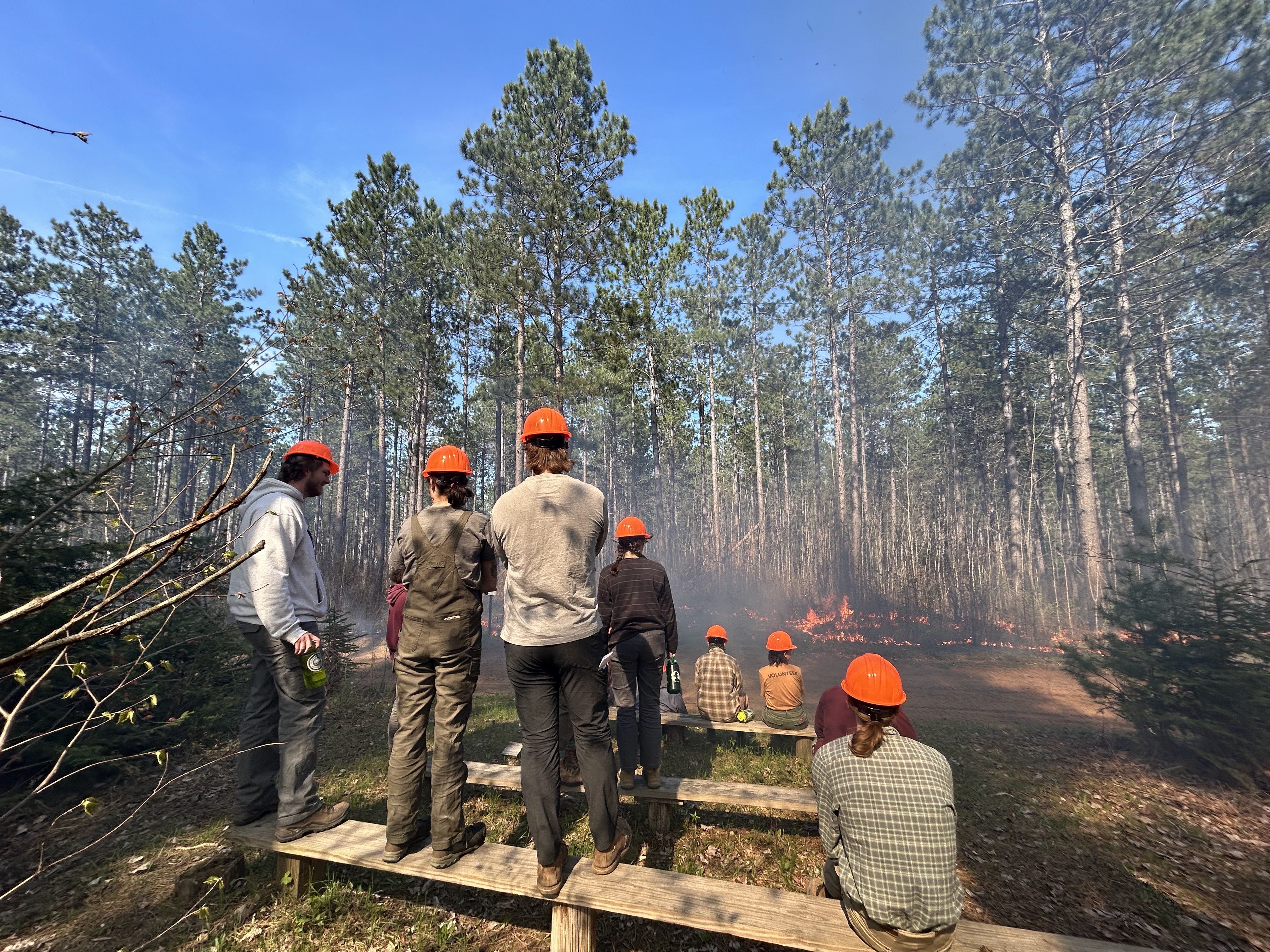 UMN students in field gear and orange hard hats, shown from behind, sit on logs while watching the prescribed burn smoulder at ground level. There is a dirt roadway between them and the burn.