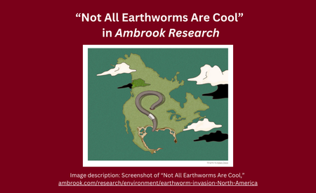 Over a maroon background, white text at the top of the image reads, "'Not All Earthworms Are Cool' in Ambrook Research." Below that is an illustration of North America in green. White clouds float above it and a giant earthworm, roughly the size of the continent, lies on top. At the bottom, white text provides a description of the illustration, which was captured as a screenshot of the article.