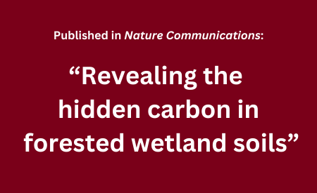 White text over a maroon background reads, "Published in Nature Communicaitons: 'Revealing the hidden carbon in forested wetland soils."