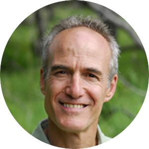 profile photo of Dr Peter Reich