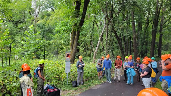 A large group in hard hats on a tour standing in a forested site in a regional park