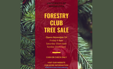 Over a close-up photo of fir tree branches is a semi-transparent maroon bar running from the top to the bottom of the image. In the maroon bar is the following text written in yellow: "Forestry Club Tree Sale. Opens November 24. Friday 4 - 8 pm, Saturday 10 am - 6 pm, Sunday 10am - 6 pm. Cash or check only." At the very top of the image, in black text, is "University of Minnesota." 