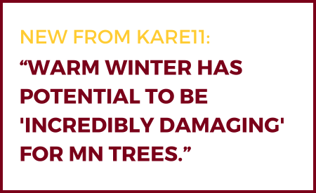 A white rectangle is outlined in maroon and filled with bold text in all caps. At the top, "New from Kare11" is in gold text. Below that is the name of the article in maroon text.