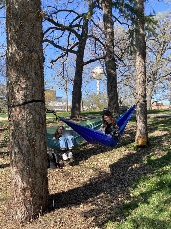 Two students study in hammocks strung between trees in spring.