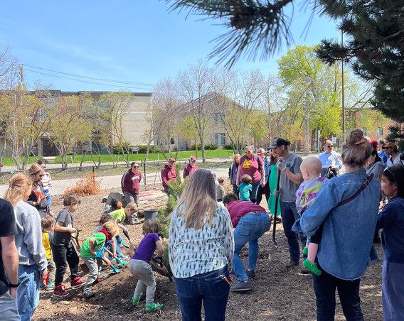 A group of about five young children help add dirt around a newly planted tree. Several adults look on while others assist the children.