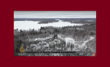 Screenshot of the report by Al Jazeera English, which shows an aerial view of the Marcell Experimental Forest in winter. 