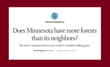 Screenshot of the Star Tribune's Curious Minnesota article, "Does Minnesota have more forests than its neighbors?" The image is mostly text against a maroon background.