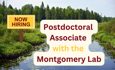 A photo of a river with low brush on its banks and a forest in the background. Over this reads the text: "Now hiring! Postdoctoral Associate with the Montgomery Lab."