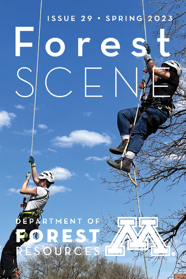 Two student members of the Tree Ascension Club tackle a roughly 60-foot climb up a cottonwood tree on the U of M Twin Cities campus in St. Paul. They are shown hanging in the air from ropes. Both are wearing helmets, harnesses, boots, pants, and T-shirts. The sky behind them is bright blue with few clouds and you can see tree canopies in the distant background. The following text, in bold white, overlays the image: "Forest Scene: Issue 29, Spring 2023. Department of Forest Resources."