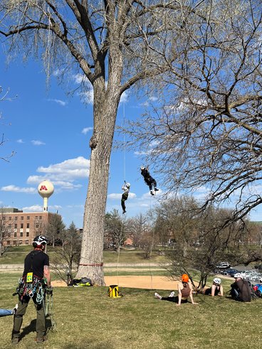Two students climb up a cottonwood tree on the UMN Twin Cities campus in St. Paul. In the background is Green Hall and a water tower with the UMN logo. The students who are climbing are roughly 20-25 feet in the air and heading upwards. Other students watch them from the ground while a grad student and climbing expert looks on, providing support.