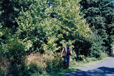 Steve Cook exits a dense grouping of trees alongside a road on a warm day. He's wearing a green baseball cap, a khaki work vest, jeans, and a T-shirt.