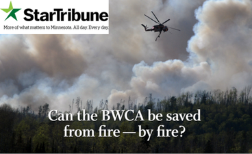 Screenshot of the article "Can the BWCA be saved from fire by fire?" A photo shows a helicopter from below as it flies through a smokey sky. The Star Tribune logo is in the upper left corner.
