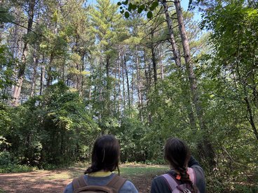 Two young women with long brown hard and wearing backpacks gaze up at the treetops before them. They are standing in front of a small clearing in the woods on a sunny day in the early fall.