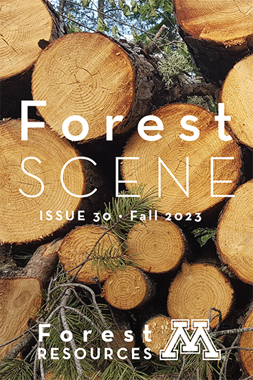 A close-up photo of stacked timber overlaid with the text "Forest Scene: Issue 30, Fall 2023". The UMN Forest Resources logo is at the bottom. All text is in white and evergreen sprigs provide some green coloring.