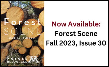 The cover of the Fall 2023 issue of Forest Scene is at left. To its right, over a white background, maroon text reads, "Now available." Below that, in black text, is the publication's name and issue number.