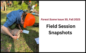 At left is a photo of a student, whose face is obscured by the orange hardhat they're wearing. They are measuring the width of a piece of timber that is placed on the ground and recording notes. Other students are doing similar work in the background. To the right of that photo is the name of the article ("Field Session Snapshots") below the name and date of the publication.