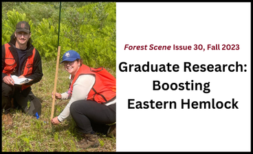 At left is a photo of two UMN students in orange safety vests measuring and recording the height of recently planted eastern hemlock seedlings. To the right of that photo is the name of the article ("Graduate Research: Boosting Eastern Hemlock") below the name and date of the publication.