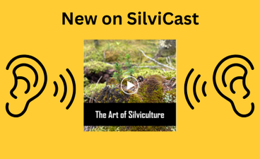 At the top of the image, bold text reads "New on SilviCast." Below it is a screenshot of the episode's graphic, which is a photo of a mossy forest floor with the text "The Art of Silviculture" over it. On either side of that image are two simple outlines of ears listening to sound waves.