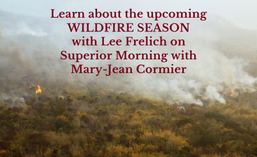 In the background is an aerial photo of a smoke-covered forest canopy. At the top of the image is the following text in bold maroon: "Learn about the upcoming wildfire season with Lee Frelich on Superior Morning with Mary-Jean Cormier."