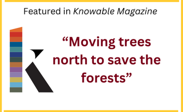The name of the article is written in bold maroon text in the center of the image below "featured in Knowable Magazine." At left is Knowable's logo, a multicolored "k."