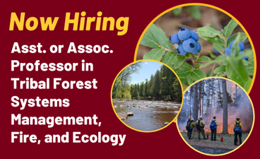 "Now hiring" and the name of the position are written in bold text over a maroon background. To the right are three cirlces that overlap. One contains a photo of wild blueberry bush, one contains a photo of a river running through a forest, and the last contains a photo of firefighters managing a controlled burn at the Cloquet Forestry Center. 