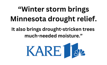 The Kare11 logo, in blue, is at the bottom. Above it, black text reads, "Winter storm brings Minnesota drought relief. It also brings drought-stricken trees much-needed moisture."