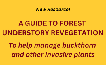 Maroon and black text over a gold background reads: "New resource! A guide to forest understory revegetation to help manage buckthorn and other invasive plants."