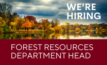 A river lined by trees in fall foliage and lit by the sun peeking through a moody sky. Text reads, "We're hiring: Forest Resources Department Head."