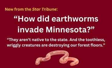 A pink earthworm is pictured below text depicting the article title.